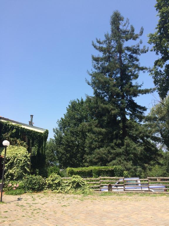 Bed and Breakfast Fattoria Sequoia Castagneto Po Exterior foto
